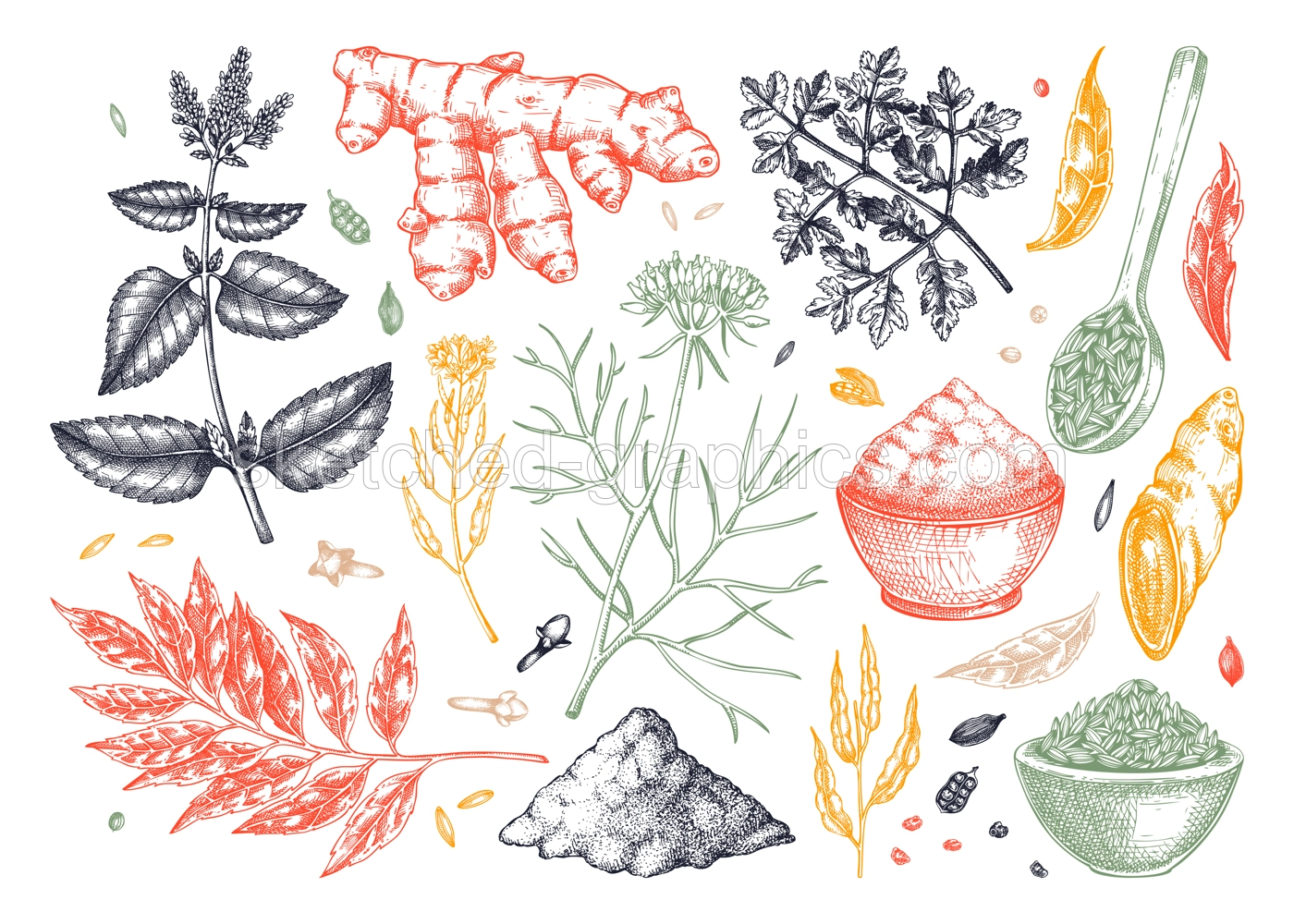 Indian cuisine herb and spice sketches set. Curry, cumin, mustard, turmeric, coriander, cloves drawing. Kitchen spices hand-drawn vector illustration. NOT AI genereted Illustration